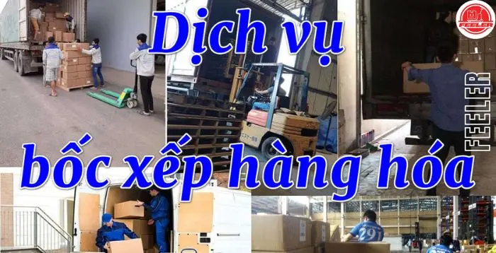 dich vu nang ha boc xep hang hoa